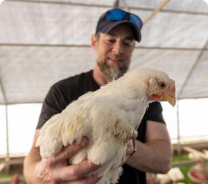 cameron greener pastures chicken