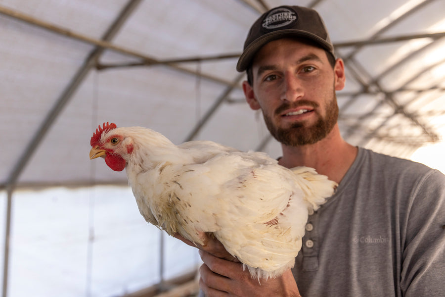 Greener Pasture Chicken building ethical practices